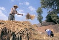 Tibetan farmers