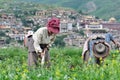 Tibetan farmers