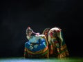 Tibetan girl Zhuoma-The national folk dance