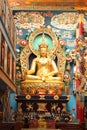 Tibetan Golden Buddha Temple Coorg Royalty Free Stock Photo