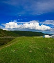 Tibetan Grassland