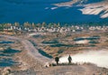 Tibetan herdsmen herd sheep home at dusk