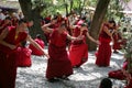 Tibetan Lamas Debating on Buddhist doctrines