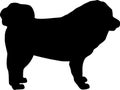 Tibetan Mastiff silhouette black