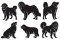 Tibetan Mastiff dog silhouette set, ancient breed, white background, illustration, Generative AI Royalty Free Stock Photo