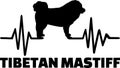 Tibetan Mastiff heartbeat word