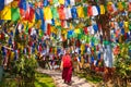 Tibetan monk among colorful flags Royalty Free Stock Photo