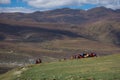 A Tibetan monks sitting on the hill at sunlight in Yarchen Gar.