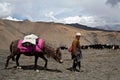 Tibetan nomad