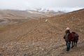 Tibetan nomad with horse at the pass