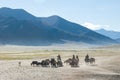 Tibetan nomads travelling with hourses and yaks. Ladakh highland