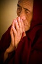 Tibetan nun praying, Dalai Lama temple, McLeod Ganj, India Royalty Free Stock Photo