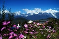 Tibetan pilgrimage Mountain