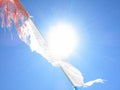 Tibetan prayer flags