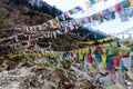 Tibetan prayer flags waving and swaddled with trees an mountain in sideway over frozen river at Thangu and Chopta valley in winter Royalty Free Stock Photo