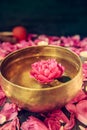 Tibetan singing bowl with floating in water pink peony flower. Burning candles and petals on the black stone background. Royalty Free Stock Photo