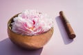 Tibetan singing bowl with floating in water pink peony inside and special stick on the pink background. Meditation and Royalty Free Stock Photo