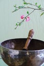 Tibetan singing bowl with mallet Royalty Free Stock Photo