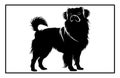 Tibetan Spaniel Dog silhouette, dog breeds logo, dog monogram logo Royalty Free Stock Photo