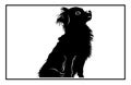 Tibetan Spaniel Dog silhouette, dog breeds logo, dog monogram logo Royalty Free Stock Photo