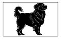 Tibetan Spaniel Dog silhouette, dog breeds logo, dog monogram logo Royalty Free Stock Photo