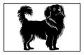 Tibetan Spaniel Dog silhouette, dog breeds logo, dog monogram logo Royalty Free Stock Photo
