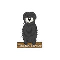 Tibetan Terrier cartoon dog icon