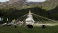 Tibetan white pagoda prayer flags at Siguniang Mountain in Chengdu, Sichuan, China. Royalty Free Stock Photo