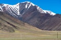 Tibetan wild ass in Beautiful Qinghai-Tibet Plateau Ngari, Tibet, China summer Royalty Free Stock Photo