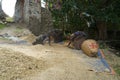 Tibetan winnower from Upper Mustang  Nepal Royalty Free Stock Photo