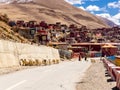 Tibetan women and the flock of long haired sheep walking on the