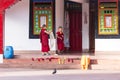 Tibetan young monks stand in front of cubicle of Rumtek Monastery in winter near Gangtok. Sikkim, India