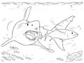 Sharks Hunting Underwater â Marine Life Line Art Illustration Royalty Free Stock Photo