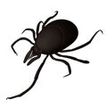 Tick Royalty Free Stock Photo