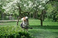 Tick-borne treatment in a city park. A man sprays a repellent among green grass and blooming apple trees. Repelling and killing