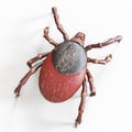 A tick Royalty Free Stock Photo