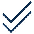 Tick, double tick Isolated Vector Icon which can be easily modified or edited