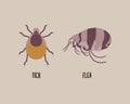 Tick and flea, insect, bug concept