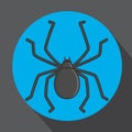 Tick Insect Vector