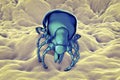 Tick Ixodes, an arthropod responsible for transmission of bacterium Borrelia burgdorferi