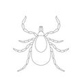 Tick parasite. Sketch of Tick. Mite. Tick on white background. Tick Design for coloring book.