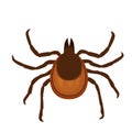 Tick vector illustration. Insect is simple flat style isolated on white background Royalty Free Stock Photo