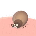 Funny vector illustration of a cartoon tick on human skin Royalty Free Stock Photo