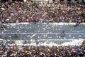 Ticker Tape Parade, New York City, New York