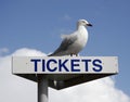Ticket sign Royalty Free Stock Photo