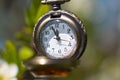 A ticking clock against a background of flowering trees.