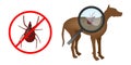 Ticks On Dogs. Canine tick-borne infections. Tick Bites. Vector infographic