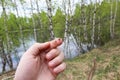 Ticks on the finger of man Royalty Free Stock Photo