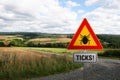 Ticks in the landscape Royalty Free Stock Photo