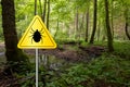 Ticks sign in the wild green forest.